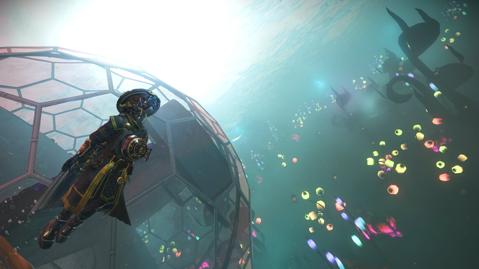 Sueños de lo profundo — Cámara Nautilon